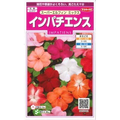 画像1: 花の種　インパチェンス　スーパーエルフィンミックス　約25粒　　サカタのタネ（株）実咲350