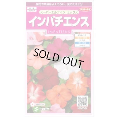 画像1: 送料無料　花の種　インパチェンス　スーパーエルフィンミックス　約25粒　(株)サカタのタネ　実咲350　（026094）