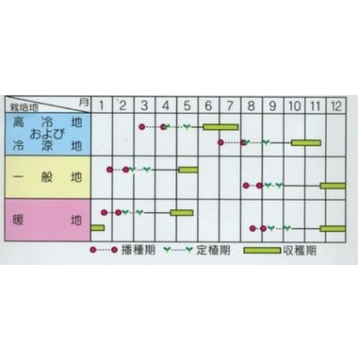 画像2: 送料無料　[ブロッコリー]　おはよう　ペレット5000粒　(株)サカタのタネ