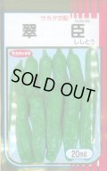 送料無料　[ししとう]　翠臣　20ml　(株)サカタのタネ