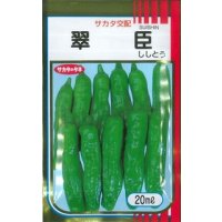 送料無料 [ししとう] 翠臣 20ml (株)サカタのタネ