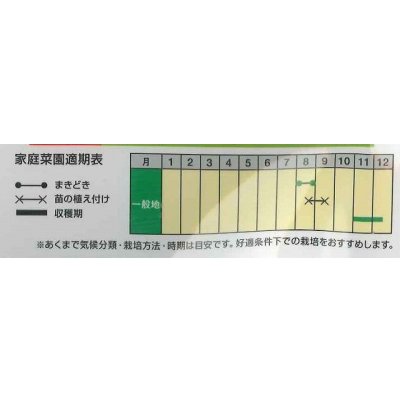 画像2: 送料無料　[白菜]　紫奏子(紫白菜)　40粒　ナント種苗（株）