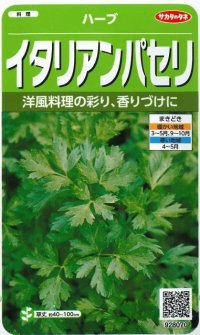 [ハーブの種]　イタリアンパセリ 　約350粒　　サカタのタネ　実咲