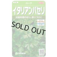 送料無料　[ハーブの種]　イタリアンパセリ　約350粒　(株)サカタのタネ　実咲（003178）
