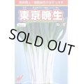 送料無料　[ねぎ]　東京晩生　20ml　渡辺農事(株)