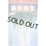 送料無料　[ねぎ]　東京晩生　20ml　渡辺農事(株)