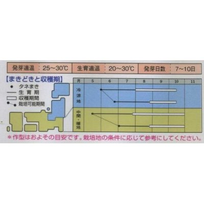 画像2: [中国野菜]　つるむらさき　9ml　タキイ種苗　MF