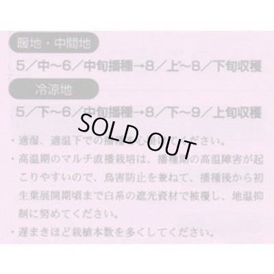 画像2: 送料無料　[枝豆]　ゆかた娘　100粒　カネコ種苗