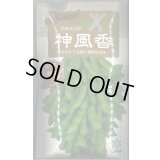 送料無料　[枝豆]　枝豆　神風香　70ml　(およそ170粒)雪印種苗(株)