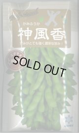 送料無料　[枝豆]　枝豆　神風香　70ml　(およそ170粒)雪印種苗(株)