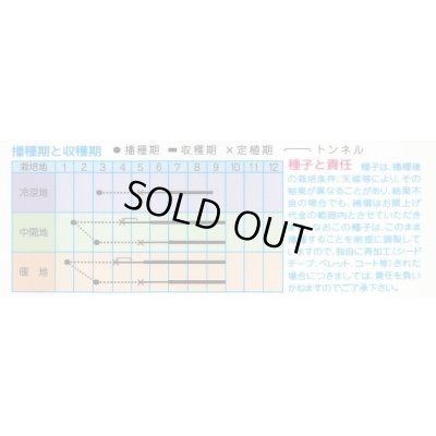 画像2: 送料無料　[なす]　京野菜　賀茂なす　1ml　(株)タカヤマシード