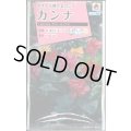 送料無料　花の種　カンナ　トロピカル　サマーミックス　小袋　タキイ種苗(株)NL300
