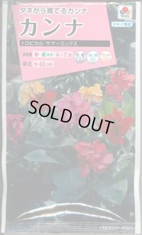 送料無料　花の種　カンナ　トロピカル　サマーミックス　小袋　タキイ種苗(株)NL300