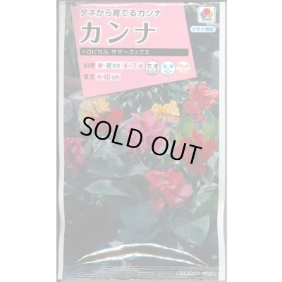画像1: 送料無料　花の種　カンナ　トロピカル　サマーミックス　小袋　タキイ種苗(株)NL300