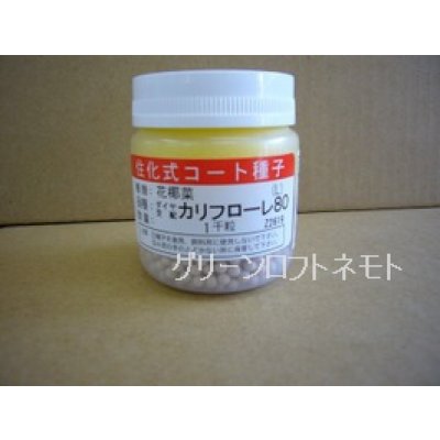 画像1: [イタリア野菜]　カリフローレ80　Lコート1000粒　トキタ種苗(株)