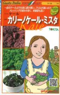 送料無料　[イタリア野菜]　カリーノケール・ミスタ　40粒　トキタ種苗(株)