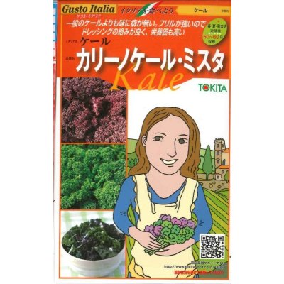 画像1: 送料無料　[イタリア野菜]　カリーノケール・ミスタ　40粒　トキタ種苗(株)