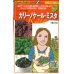 画像1: [イタリア野菜]　カリーノケール・ミスタ　40粒　トキタ種苗（株） (1)