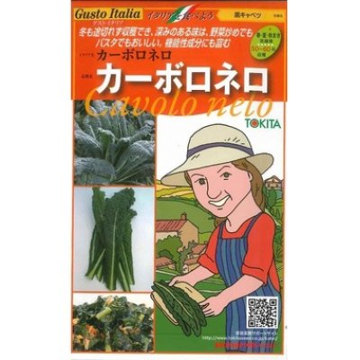 画像1: [イタリア野菜]　カーボロネロ　40粒　トキタ種苗（株）