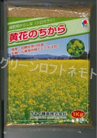 [緑肥]　からしな　黄花のちから　 1kg　タキイ種苗（株）