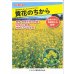 画像5: [緑肥]　からしな　黄花のちから　1kg　タキイ種苗(株)