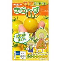 [トマト/ミニトマト]　きら〜ず　15粒　ナント種苗（株）