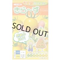 送料無料　[トマト/ミニトマト]　きら〜ず　500粒　ナント種苗(株)