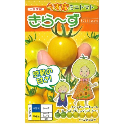 画像1: [トマト/ミニトマト]　送料無料！　きら〜ず　500粒　ナント種苗（株）