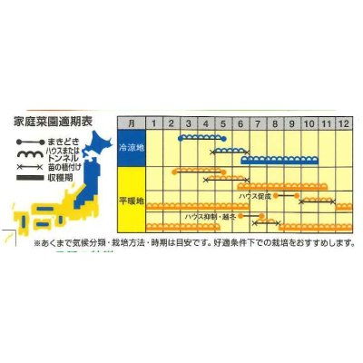 画像3: [トマト/ミニトマト]　送料無料！　きら〜ず　500粒　ナント種苗（株）