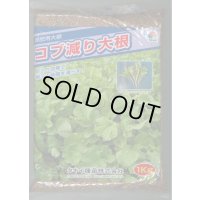 [緑肥] 大根 コブ減り大根 1kg タキイ種苗(株)
