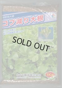 [緑肥] 大根 コブ減り大根 1kg タキイ種苗(株)
