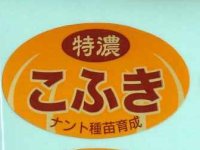 青果シール　　特濃こふき　100枚入り   ナント種苗（株）