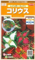 送料無料　花の種　コリウス　レインボーミックス　約72粒　(株)サカタのタネ　実咲200（026332）