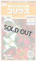 送料無料　花の種　コリウス　レインボーミックス　約72粒　(株)サカタのタネ　実咲200（026332）
