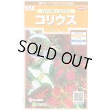 送料無料　花の種　コリウス　レインボーミックス　約72粒　(株)サカタのタネ　実咲200（026332）