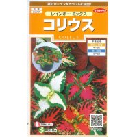 花の種　コリウス　レインボーミックス　　約72粒　サカタのタネ（株）実咲200