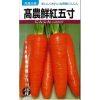 [人参]　高農鮮紅五寸　20ml　（株）タカヤマシード