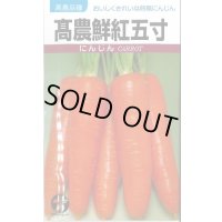 [人参] 高農鮮紅五寸 20ml (株)タカヤマシード