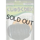 送料無料　[かぼちゃ]　くじゅうくりEX南瓜　500粒　カネコ種苗（株）