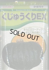 送料無料　[かぼちゃ]　くじゅうくりEX南瓜　500粒　カネコ種苗（株）