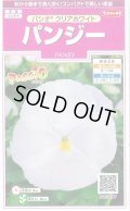 送料無料　花の種　パンジー　パシオ　クリアホワイト　約34粒　(株)サカタのタネ　実咲350（026138）