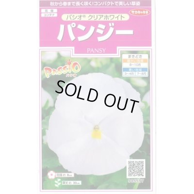 画像1: 花の種　パンジー　パシオ　 クリアホワイト　約34粒　　サカタのタネ（株）実咲350