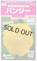 送料無料　花の種　パンジー　パシオ　クリアイエロー　約34粒　(株)サカタのタネ　実咲350（026137）