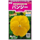 送料無料　花の種　パンジー　パシオ　クリアイエロー　約34粒　(株)サカタのタネ　実咲350（026137）