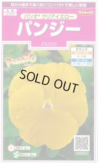 送料無料　花の種　パンジー　パシオ　クリアイエロー　約34粒　(株)サカタのタネ　実咲350（026137）