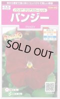 送料無料　花の種　パンジー　パシオ　クリアスカーレット　約34粒　(株)サカタのタネ　実咲350（026135）