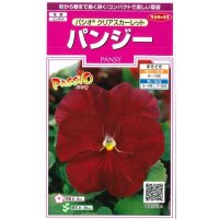 送料無料　花の種　パンジー　パシオ　クリアスカーレット　約34粒　(株)サカタのタネ　実咲350（026135）