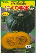 送料無料　[かぼちゃ]　くり将軍　7粒　トキタ種苗(株)