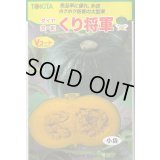 送料無料　[かぼちゃ]　くり将軍　7粒　トキタ種苗(株)