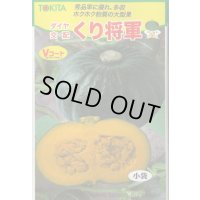送料無料　[かぼちゃ]　くり将軍　7粒　トキタ種苗(株)
